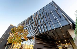 COOL GROUND FLOOR GREY LYNN OFFICE
