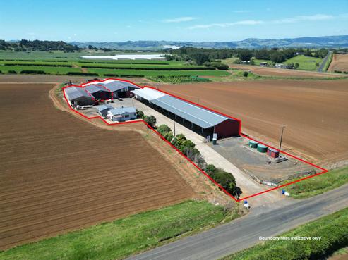 29 Dazeley Road, Puni