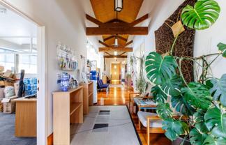 Front and centre on The Strand