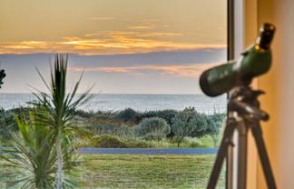 401 Ormond Drive, Mahia