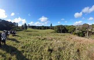 Lot 2/2084 Waiare Road, Kaeo