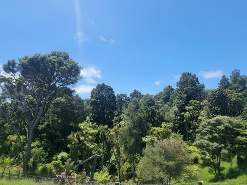 56E Kaipara Coast Highway, Helensville