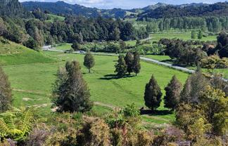 1104 Tapuhi Road, Hikurangi