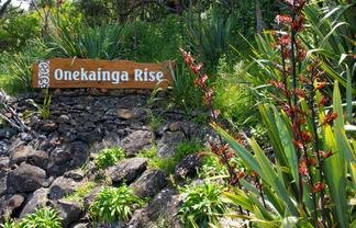  Onekainga Rise, Whananaki