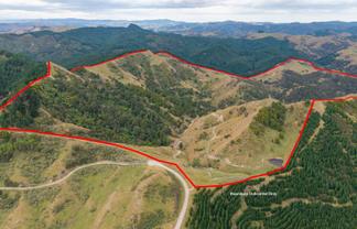 310 Branscombe Road, Akitio