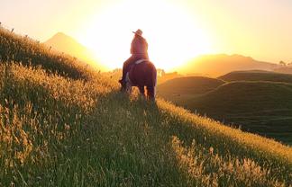 964 Tarata Road, Kaimata