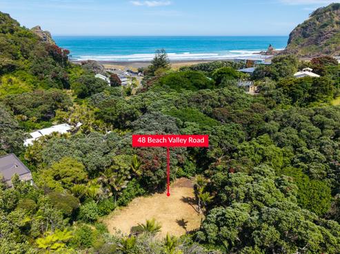 48 Beach Valley Road, Piha