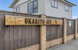 45 Okarito Avenue, Levin