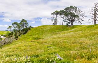 Wearmouth Road, Paparoa