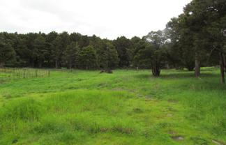  Carruth Road, Poroti