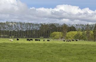 1148 Blackmount Redcliff Road, Te Anau