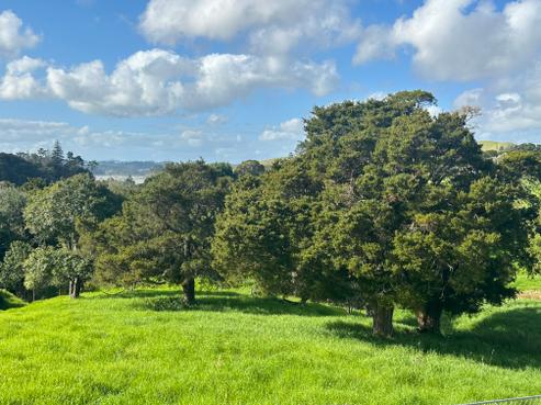 609 Pahi Road, Paparoa