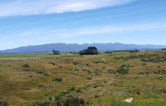 980 Wilsons Lead Road, Cape Foulwind
