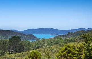 161 Sharp Road, Matakana
