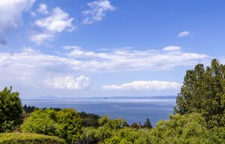 17 Kamahi Terrace, Omori