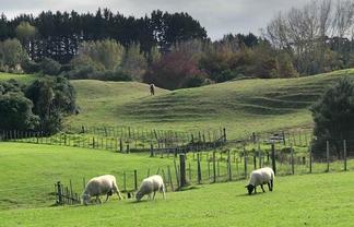 Lot 2 DP480579 South Head Road, South Head