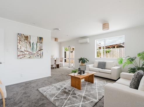 172A Nixon Street, Hamilton East