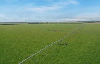  Burnham Road, Temuka