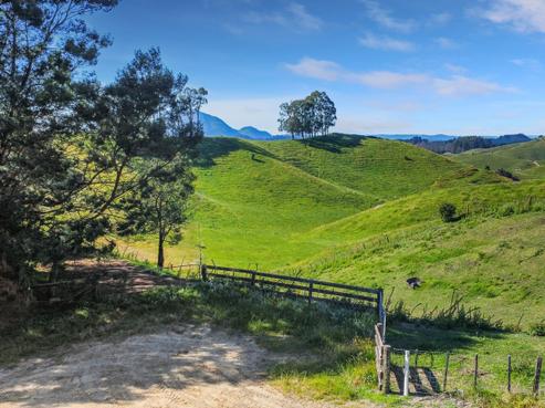 109 Mcivor Road, Rotoma