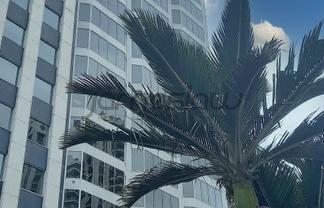 678m2 Modern Office at 191 Queen Street