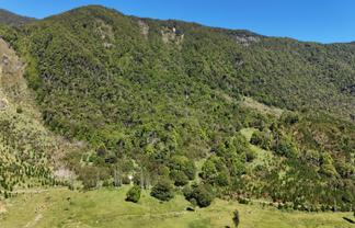  Tutaki Road South, Murchison