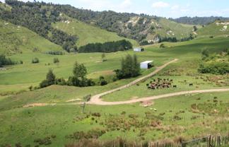 1099 Mataro Road, Urenui