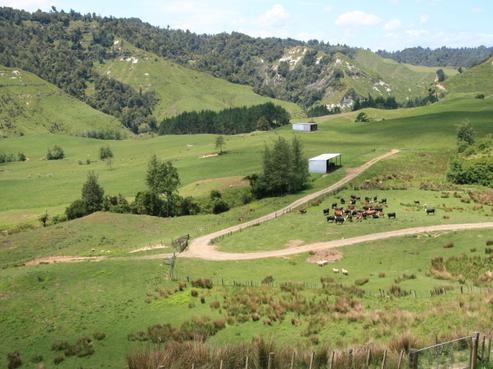 1099 Mataro Road, Onaero