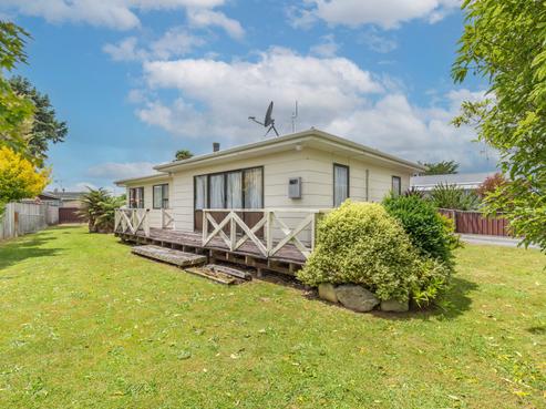 3 Nikau Street, Levin