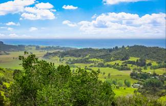 85 Tiro Lane, Pakiri