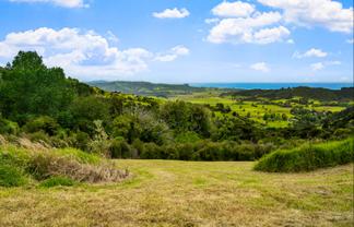 85 Tiro Lane, Pakiri