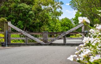 85 Tiro Lane, Pakiri