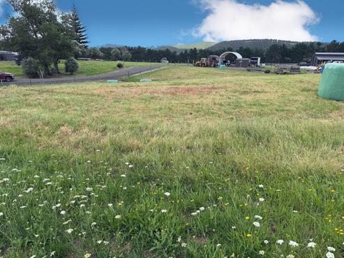 59 Kai Iwi Lakes Road, Dargaville Surrounds