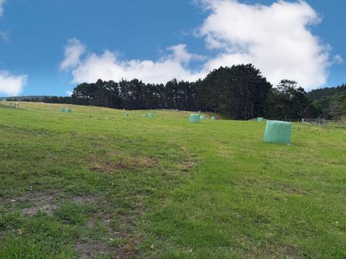 75 Kai Iwi Lakes Road, Dargaville Surrounds