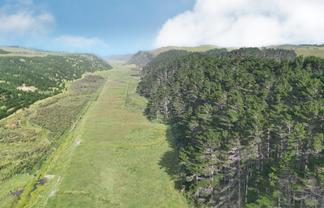17 Kai Iwi Lakes Road, Dargaville