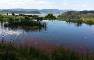 Lots 4,5,6 Taheke Road, Taheke