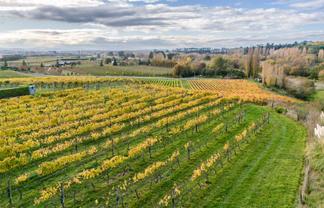 56 River Road, Havelock North