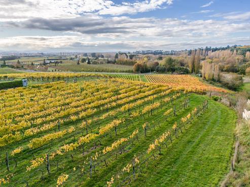 56 River Road, Havelock North