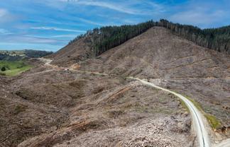  Lots 2-4, 14, 15, DP 9115 Motu Road, Matawai