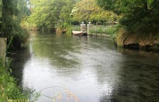8 Clifford Avenue, Fendalton