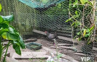 25 Prospect Terrace, Johnsonville