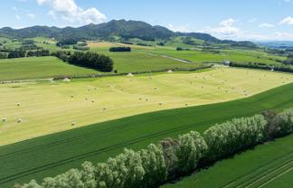 205 Reaby Road, Gore