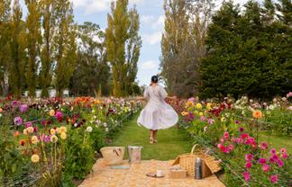 Greytown Honey - 58 Moroa Road