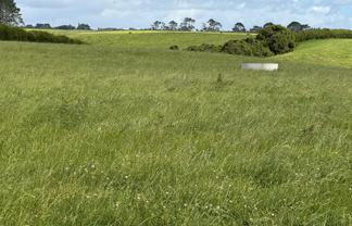 300 Opunake Road, Cardiff