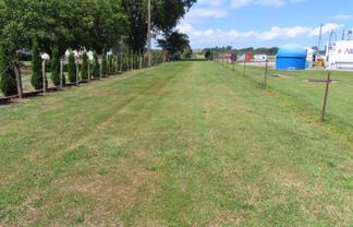 Industrial Development Opportunity