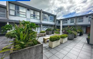 Exceptional Ground Floor Office Space Mt Eden