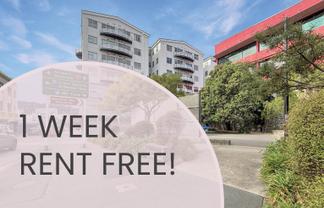 202/115 Vivian Street, Te Aro