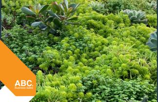 Protective membrane specialist - T/O $5M