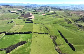 365 Glenure Hill Road, Hokonui Hills