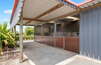 33 Jamieson Road, Buckland