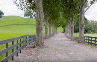 Lot 2, 3 & 5,  Harwoods Road, Tirau